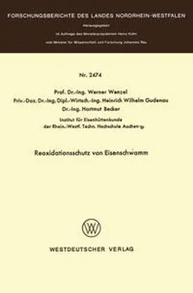 Wenzel |  Reoxidationsschutz von Eisenschwamm | eBook | Sack Fachmedien