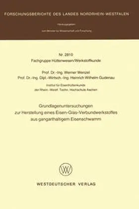 Wenzel |  Grundlagenuntersuchungen zur Herstellung eines Eisen-Glas-Verbundwerkstoffes aus gangarthaltigem Eisenschwamm | eBook | Sack Fachmedien