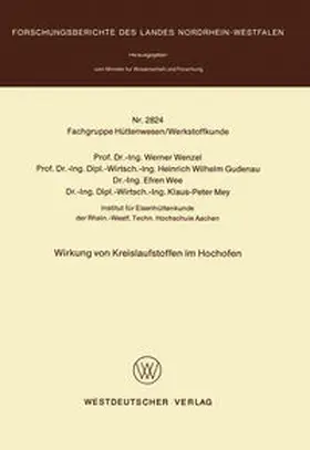 Wenzel |  Wirkung von Kreislaufstoffen im Hochofen | eBook | Sack Fachmedien