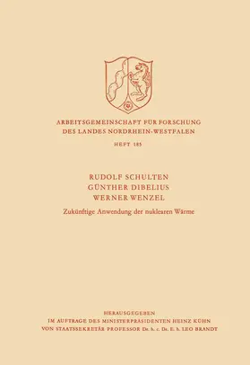 Schulten |  Einführung: Über einige Probleme bei der Entwicklung eines Hochtemperaturreaktors zur Kohlevergasung. Elektrische Energie und Wärme aus Gasturbinenprozessen für Hochtemperaturreaktoren. Eisengewinnung mit Kernreaktorwärme. Über die Anwendung von Hochtemperaturkernreaktoren zur Kohlevergasung | Buch |  Sack Fachmedien