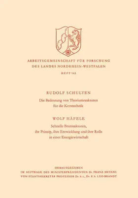 Schulten | Die Bedeutung von Thoriumreaktoren für die Kerntechnik | Buch | 978-3-322-98182-0 | sack.de