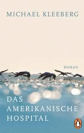 Kleeberg |  Das amerikanische Hospital | Buch |  Sack Fachmedien