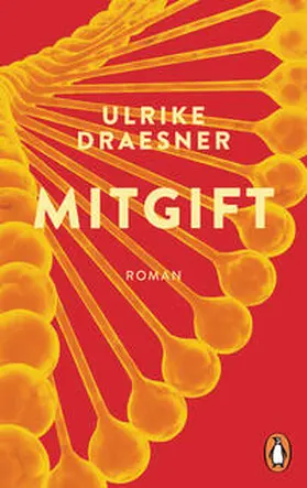 Draesner |  Mitgift | Buch |  Sack Fachmedien