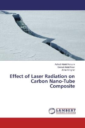 Abdel Haleem / Abdel Nasr / Klingner |  Effect of Laser Radiation on Carbon Nano-Tube Composite | Buch |  Sack Fachmedien