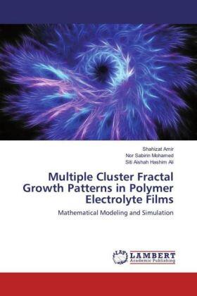 Amir / Mohamed / Hashim Ali |  Multiple Cluster Fractal Growth Patterns in Polymer Electrolyte Films | Buch |  Sack Fachmedien