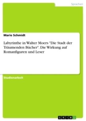 Schmidt | Labyrinthe in Walter Moers "Die Stadt der Träumenden Bücher". Die Wirkung auf Romanfiguren und Leser | Buch | 978-3-346-37341-0 | sack.de