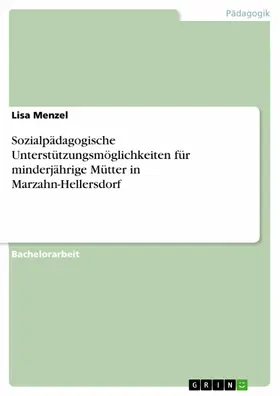 Menzel |  Sozialpädagogische Unterstützungsmöglichkeiten für minderjährige Mütter in Marzahn-Hellersdorf | eBook | Sack Fachmedien