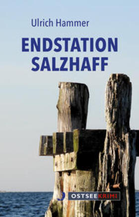 Hammer |  Endstation Salzhaff | Buch |  Sack Fachmedien