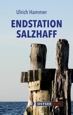 Hammer |  Endstation Salzhaff | eBook | Sack Fachmedien