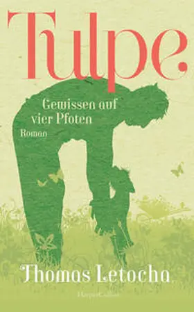 Letocha |  Tulpe | Buch |  Sack Fachmedien