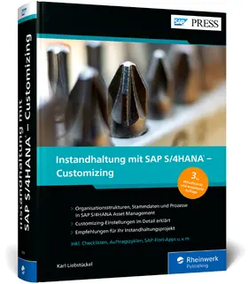 Liebstückel |  Instandhaltung mit SAP S/4HANA - Customizing | Buch |  Sack Fachmedien