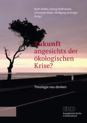 Gütter / Hofmeister / Maier |  Zukunft angesichts der ökologischen Krise? | Buch |  Sack Fachmedien