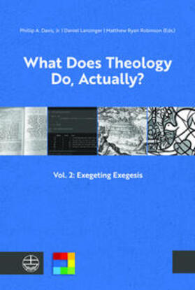 Davis / Ryan Robinson / Lanzinger |  What Does Theology Do, Actually? Vol. 2 | Buch |  Sack Fachmedien