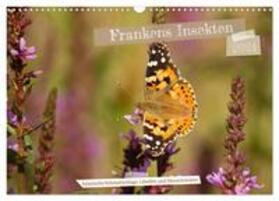 Paulus |  Frankens Insekten (Wandkalender 2024 DIN A3 quer), CALVENDO Monatskalender | Sonstiges |  Sack Fachmedien