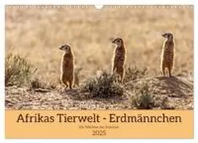 Voß / CALVENDO |  Afrikas Tierwelt - Erdmännchen (Wandkalender 2025 DIN A3 quer), CALVENDO Monatskalender | Sonstiges |  Sack Fachmedien