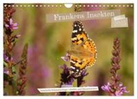 Paulus / CALVENDO |  Frankens Insekten (Wandkalender 2025 DIN A4 quer), CALVENDO Monatskalender | Sonstiges |  Sack Fachmedien