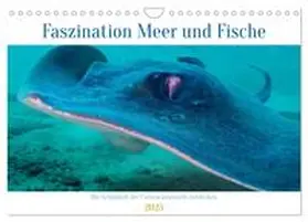 Schulz / CALVENDO |  Faszination Meer und Fische (Wandkalender 2025 DIN A4 quer), CALVENDO Monatskalender | Sonstiges |  Sack Fachmedien