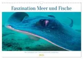 Schulz / CALVENDO |  Faszination Meer und Fische (Wandkalender 2025 DIN A3 quer), CALVENDO Monatskalender | Sonstiges |  Sack Fachmedien