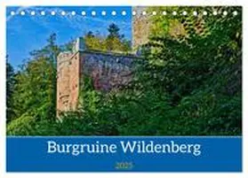 Kreuzer / CALVENDO |  Burg Wildenberg (Tischkalender 2025 DIN A5 quer), CALVENDO Monatskalender | Sonstiges |  Sack Fachmedien