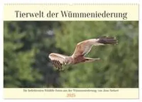 Siebert / CALVENDO |  Tierwelt der Wümmeniederung (Wandkalender 2025 DIN A2 quer), CALVENDO Monatskalender | Sonstiges |  Sack Fachmedien