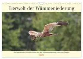 Siebert / CALVENDO |  Tierwelt der Wümmeniederung (Wandkalender 2025 DIN A4 quer), CALVENDO Monatskalender | Sonstiges |  Sack Fachmedien