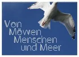 Reichenauer / CALVENDO |  Von Möwen, Menschen und Meer (Wandkalender 2025 DIN A2 quer), CALVENDO Monatskalender | Sonstiges |  Sack Fachmedien