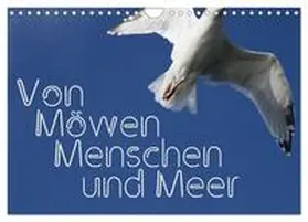 Reichenauer / CALVENDO |  Von Möwen, Menschen und Meer (Wandkalender 2025 DIN A4 quer), CALVENDO Monatskalender | Sonstiges |  Sack Fachmedien