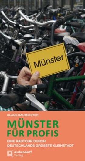 Baumeister |  Münster für Profis | Buch |  Sack Fachmedien