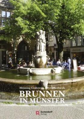 Grabowski / Sedlacek |  Brunnen in Münster | Buch |  Sack Fachmedien