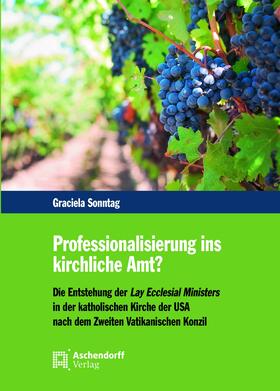 Sonntag |  Sonntag, G: Professionalisierung ins kirchliche Amt? | Buch |  Sack Fachmedien