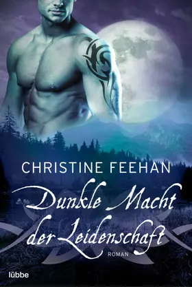 Feehan |  Dunkle Macht der Leidenschaft | Buch |  Sack Fachmedien