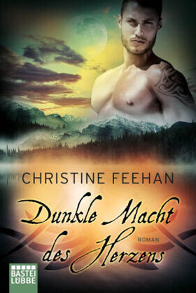 Feehan |  Dunkle Macht des Herzens | Buch |  Sack Fachmedien