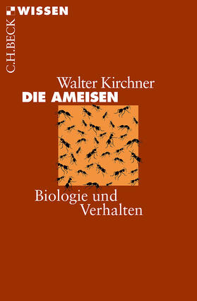 Kirchner |  Die Ameisen | Buch |  Sack Fachmedien