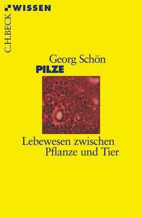 Schön |  Pilze | Buch |  Sack Fachmedien