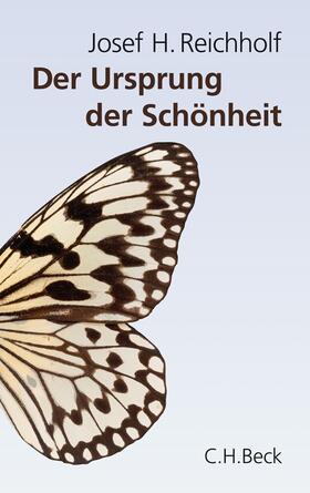 Reichholf |  Reichholf, J: Ursprung der Schönheit | Buch |  Sack Fachmedien
