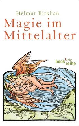 Birkhan |  Magie im Mittelalter | Buch |  Sack Fachmedien