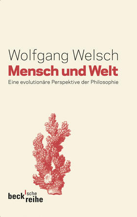 Welsch |  Mensch und Welt | Buch |  Sack Fachmedien