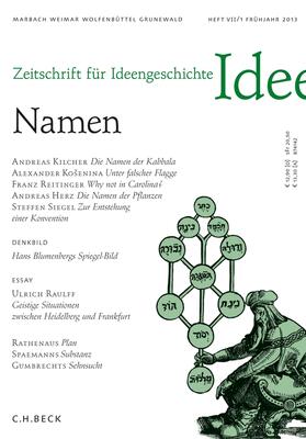 Rahden / Sommer |  Zeitschrift für Ideengeschichte Heft VII/1 Frühjahr 2013 | Buch |  Sack Fachmedien