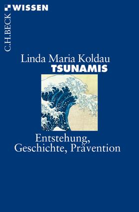 Koldau |  Tsunamis | eBook | Sack Fachmedien