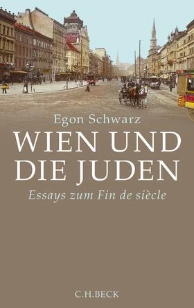 Schwarz |  Wien und die Juden | Buch |  Sack Fachmedien