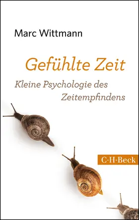 Wittmann |  Gefühlte Zeit | Buch |  Sack Fachmedien