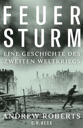 Roberts |  Feuersturm | Buch |  Sack Fachmedien