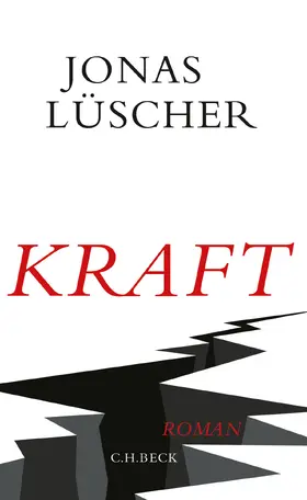 Lüscher |  Kraft | Buch |  Sack Fachmedien