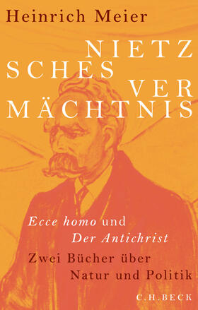 Meier |  Nietzsches Vermächtnis | eBook | Sack Fachmedien