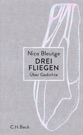 Bleutge |  Drei Fliegen | Buch |  Sack Fachmedien