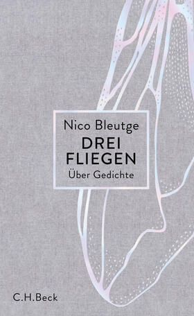 Bleutge |  Drei Fliegen | eBook | Sack Fachmedien