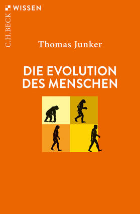 Junker |  Die Evolution des Menschen | eBook | Sack Fachmedien