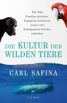 Safina |  Die Kultur der wilden Tiere | eBook | Sack Fachmedien