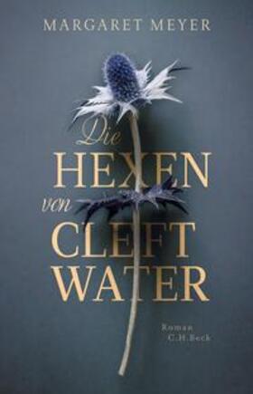 Meyer |  Die Hexen von Cleftwater | eBook | Sack Fachmedien