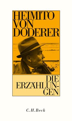 Doderer / Schmidt-Dengler |  Die Erzählungen | Buch |  Sack Fachmedien